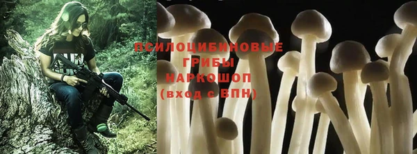 Альфа ПВП Зеленокумск
