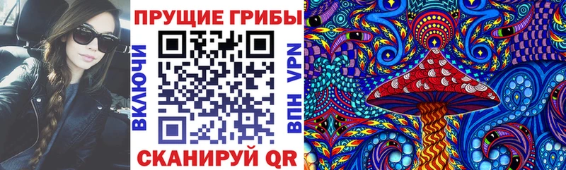 Купить закладки  Калтан  Псилоцибиновые грибы Psilocybe 